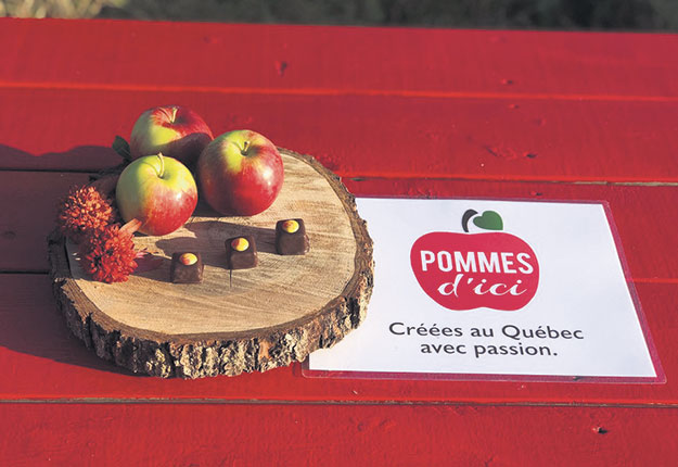 La Belle d’août, la Rosinette, l’Octobre et la Passionata sont les quatre nouvelles variétés représentées par la marque Pommes d’ici. Photo : Gracieuseté de La Pomme de demain