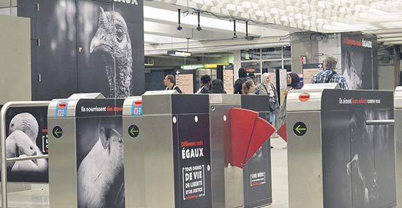 Le mouvement Be Fair Be Vegan a pris le contrôle de la station de métro Berri-UQAM au cours du mois de septembre. À Toronto, sa publicité sera affichée jusqu’au 27 octobre. Photo : Be Fair Be Vegan