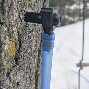 La rondelle d’étanchéité O (O ring) est un des produits phares de Plastech Chalumo.