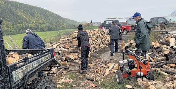 Des hommes scient, fendent, cordent et transportent le bois de chauffage pour le mettre au sec pour l’hiver.