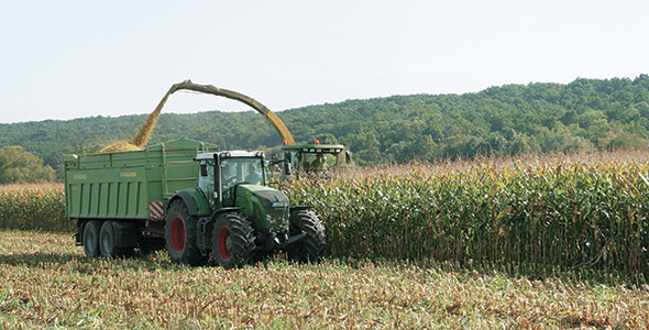 De la récolte du grain jusqu'à l'ensilage.