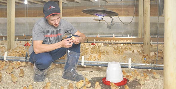 Les dernières avancées en alimentation et en régie d'élevage sont testées dans les fermes de recherche.