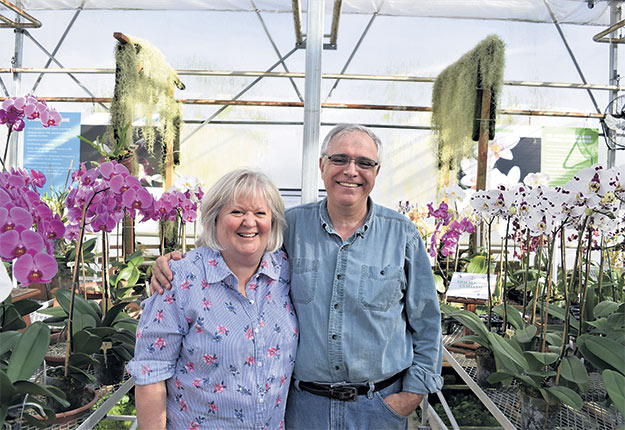 Le respect de l’environnement fait partie du credo des propriétaires du Paradis des orchidées, Sylvie Paquette et Laurent Leblond. Photo : David Riendeau
