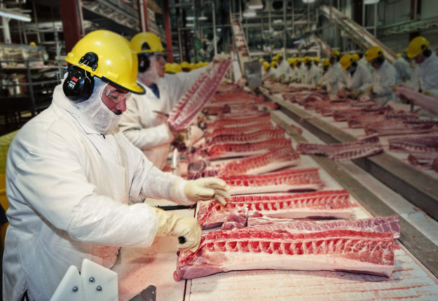Les travailleurs des abattoirs poursuivent leurs tâches avec un salaire à la hausse en période de pandémie. Crédit photo : Archives/TCN