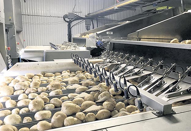 La fusion de Québec Parmentier avec Patate-Saint-Ambroise et l’ajout de trois nouvelles fermes visent à augmenter la productivité et sécuriser la capacité d’approvisionnement de l’entreprise. Photo : Gracieuseté de Québec Parmentier