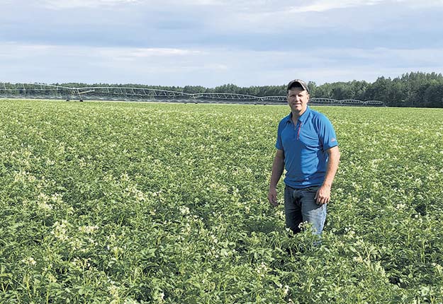 Le producteur de pommes de terre de Saint-Paul, Francis Desrochers, s'attend à une baisse de rendement de 10 % par rapport à une année normale.