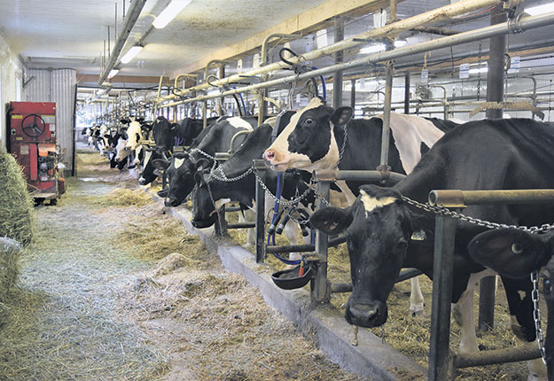 Le confinement a bouleversé la façon dont la population consomme les produits laitiers. Photo : David Riendeau/TCN