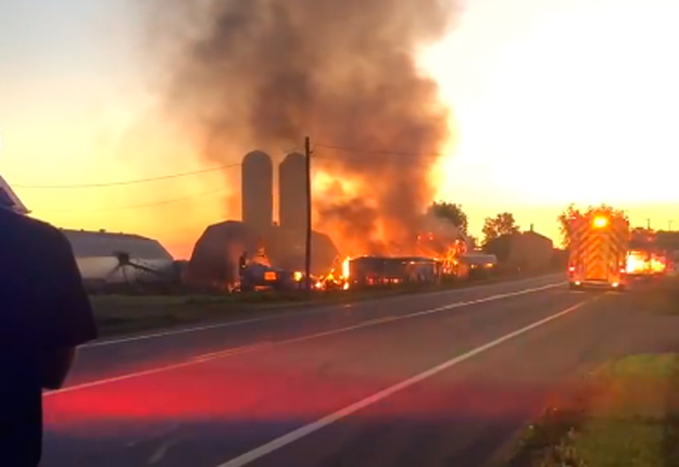 Aucune perte humaine et animale n’a été recensée dans l’incendie de la ferme J. Marois à Cap-Saint-Ignace dans Chaudière-Appalaches le 14 août. Image tirée d'une vidéo de Lise Bolduc