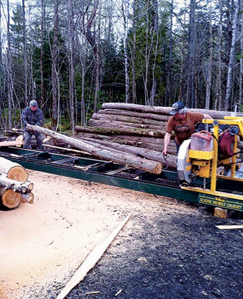 Le cèdre coupé et scié dans le boisé des Lavoie-Pichette a servi de matériau de base à la construction de l’abri forestier. Photo : France Lavoie