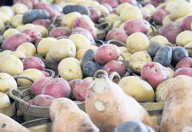 Entre 75 et 80 fermes de pommes de terre sont visées par un nouveau règlement qui obligera les producteurs à filtrer leurs eaux, après le lavage de légumes, pour qu’elles atteignent une concentration de 50 mg de ppm/L.