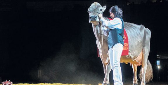 Remporter le titre de Grande championne au World Dairy Expo à deux reprises avec Fantasy a été un grand moment de fierté pour toute la famille.