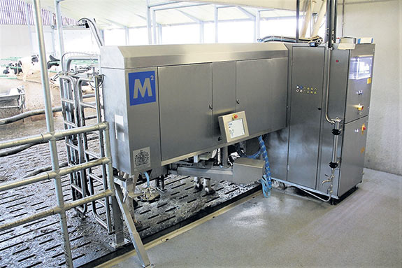 Le concept de la cage en K-Flow facilite la circulation des vaches.