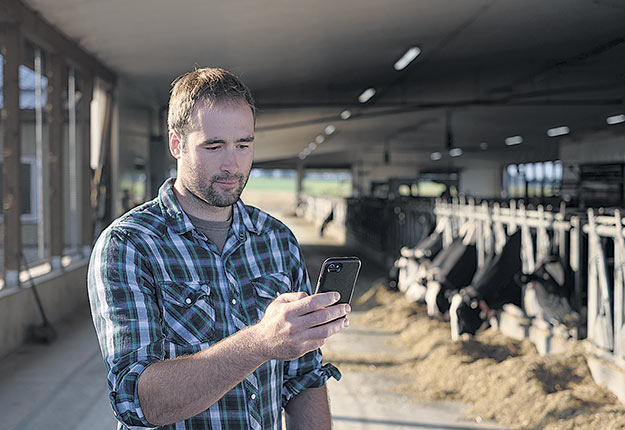 Une nouvelle application mobile présentement à l’essai par Lactanet pourrait permettre une utilisation plus judicieuse des antibiotiques dans les troupeaux laitiers.