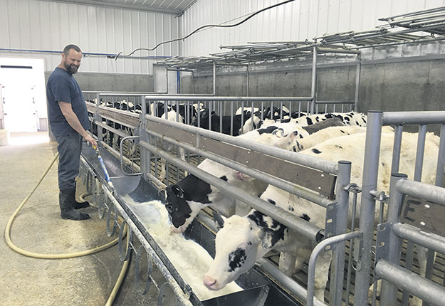 Après plusieurs mois de ventes à perte, plusieurs éleveurs de veaux de lait, dont Pierre-Luc Nadeau, songent à délaisser cette production. Photo : Archives/TCN