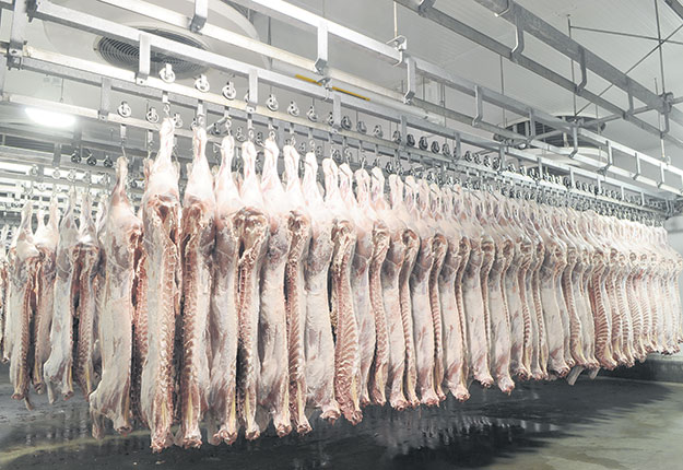 Avec les recommandations du projet Révision des indicateurs de qualité d’une carcasse de veau, le secteur pourra mettre en place un comité de travail en matière de classement dans le but de revoir le système actuel et de l’améliorer. Photo : Montpak International