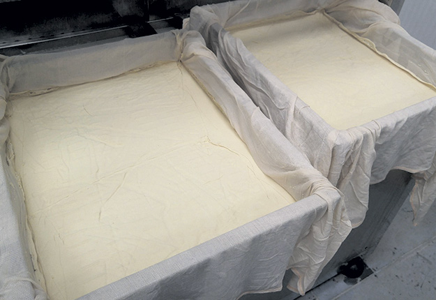 SoyXpert a présentement besoin d’environ 1,5 tonne de soya biologique par semaine pour produire ses briques de tofu distribuées dans 120 points de vente. L’entreprise prévoit quadrupler sa production d’ici la fin de l’été 2021. Photo : Gracieuseté de SoyXpert