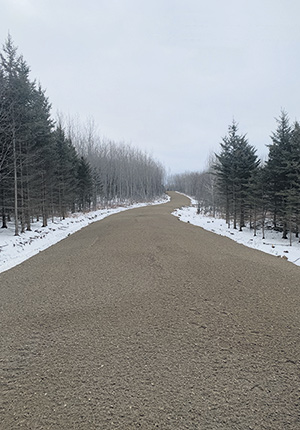 Lorrainville a investi 103 000 $ pour aménager un chemin sur le terrain des petites terres. Photo : Gracieuseté de la municipalité de Lorrainville