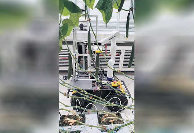 Présentement, les bras robotisés de Kinova sont testés sur des plateformes mobiles des entreprises SYHA (en France) et Ecoation (en Colombie-Britannique) ainsi qu’au centre de recherche Vineland Research and Innovation Centre (en Ontario). Photo : Gracieuseté du Vineland Research and Innovation Centre