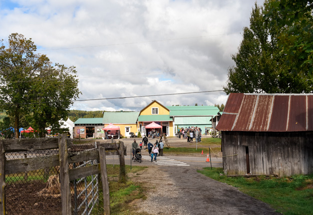 La dernière édition de la journée Portes ouvertes sur les fermes du Québec s’est tenue en 2019. Photo : Gracieuseté de l’UPA