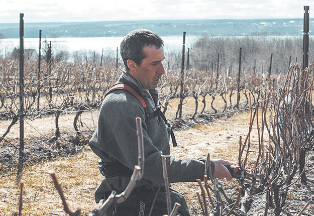 Le président du Conseil des vins du Québec, Louis Denault, est soulagé que l’accès direct aux épiceries soit maintenu. Photo : Vignoble Sainte-Pétronille