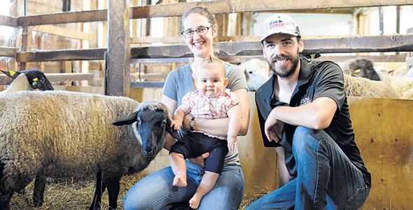Kaily Larivière et Jérôme Gingras, producteurs ovins à Saint-Zacharie, dans Chaudière-Appalaches, ne peuvent pas encore tirer pleinement profit des bons prix de l’agneau en raison de la petite taille de leur entreprise. Photo : Gabrielle Chouinard