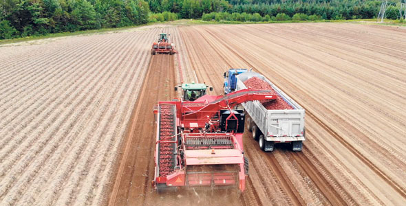 La technologie GreenTronics permet d’assurer la traçabilité du champ à l’entrepôt.