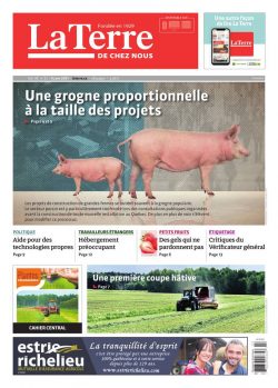 Pour voir le dossier en entier, cliquez ici.