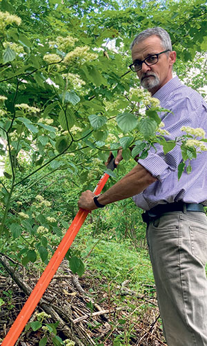 Silvio Morin enlève les nerpruns bourdaines en utilisant un outil spécialement conçu pour arracher les arbustes. Photo : Martin Ménard/TCN