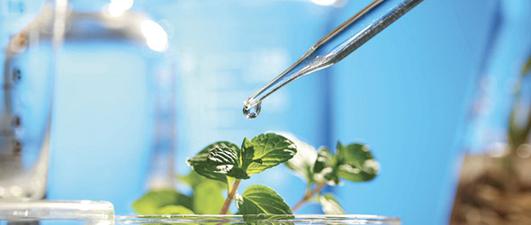 Agro-100 a fait une percée majeure dans le marché des biostimulants lors de l’acquisition d’Axter Agroscience, au début de l’année 2021.