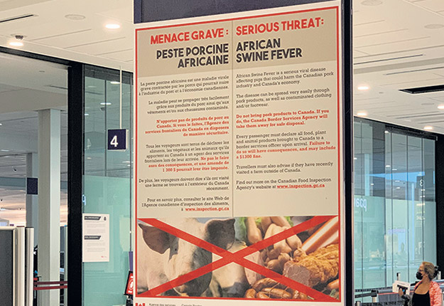L’Agence canadienne d’inspection des aliments a installé des affiches à l’aéroport Montréal-Trudeau pour sensibiliser les voyageurs aux risques de propagation de la peste porcine africaine. Photo : Myriam Laplante El Haïli /TCN