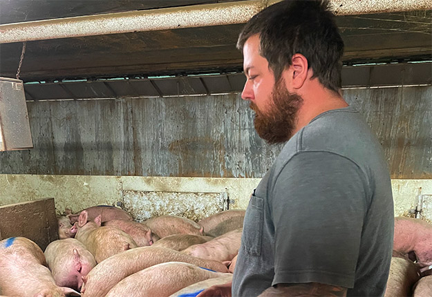 Dans Lanaudière, l’éleveur William Lafond, 28 ans, affiche 1 200 porcs en surplus.