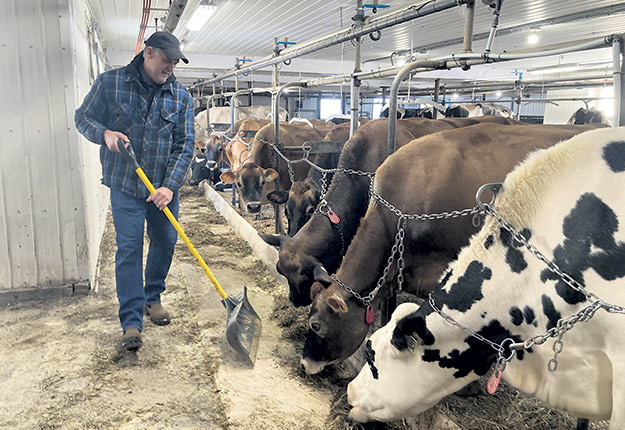 La Ferme Macha a effectué des choix génétiques afin de miser sur des vaches plus durables qui offrent plus de lactations, le genre de détails qui accroissent la rentabilité d’une ferme, estime Martin Caron. Photos : Martin Ménard/TCN