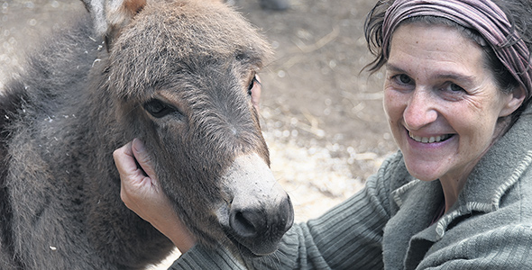 Depuis plus de 15 ans maintenant, Lucie Landry a fait de sa ferme de Sainte-Mélanie, L’âne gardien, un refuge où elle héberge et soigne jusqu’à une vingtaine de ces équidés qu’elle trouve tellement attachants. Photo : Pierre Saint-Yves