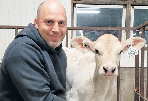 Sylvain Hinse a trouvé une façon originale de vendre ses veaux laitiers. Photo : Gracieuseté de Sylvain Hinse