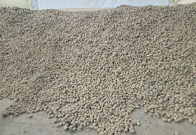 Les 160 000 livres de pommes de terre se sont envolées en sept jours. Photo : Gracieuseté de Philippe Gagnon
