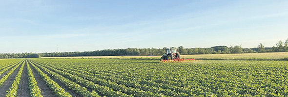 Le couple cultive 142 hectares de terres, dont 32 leur appartiennent.