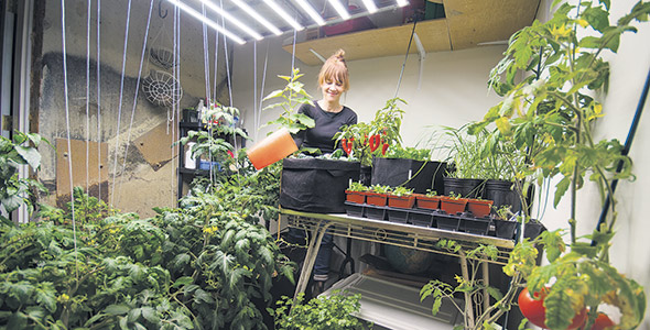 L’horticultrice conseille d’utiliser des tables usagées pour ajuster la hauteur des plants par rapport à la lumière. « Plus les plants sont près de ton éclairage, plus ils font de la photosynthèse et plus ils poussent vite », dit Mme Côté. Photo : Martin Ménard/TCN