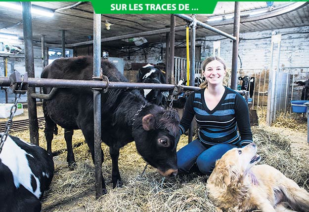 Myriam Beaudry vient d’acheter ses vaches et du quota. Elle suit les traces de son grand-père Marcel Beaudry, un passionné d’agriculture et de vaches de race Canadienne. Photos : Martin Ménard/TCN