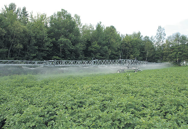 L’irrigation de la pomme de terre devient un incontournable dans toutes les régions du Québec. Photo : Gracieuseté de Harnois irrigation