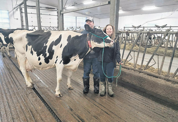La vache de Marco Cloutier et Johanne Drouin pourrait se rendre à 12 lactations. Photos : gracieuseté de Johanne Drouin