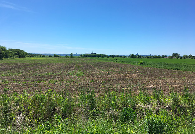 Les 203 ha de terres des Sœurs de la Charité de Québec, en processus d’être achetés par Québec, serviront au cours des prochaines années au déploiement d’un parc d’innovation agricole. Photo : Archives/TCN