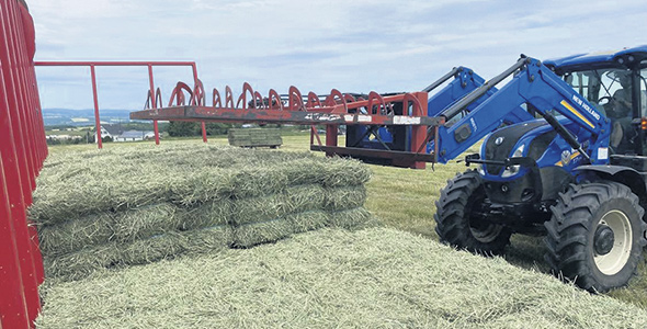 According to the CQPF, dry hay in small square bales (18 to 25 kg) is the most popular for export, especially on the east coast of the United States.