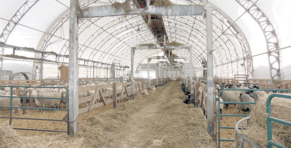 Un avantage important du mégadôme de 30 pieds de hauteur avec ventilation tunnel : l’absence presque totale d’odeurs.