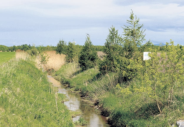 L’aménagement de bandes riveraines est aujourd’hui une exigence de base pour protéger les bassins versants. Photo : Archives/TCN