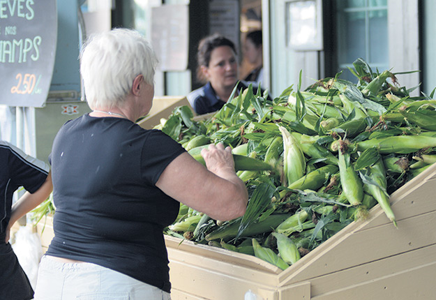 Au Québec, 20 % des fermes ont déclaré vendre des produits agricoles directement aux consommateurs, alors que cette proportion a été de 13,6 % au Canada en 2021. Photo : Myriam Laplante El Haïli/Archives TCN