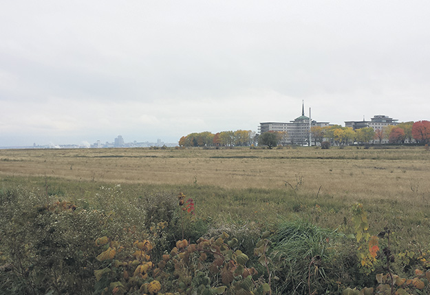 Le gouvernement dézonera par décret la superficie résiduelle de 12 hectares appartenant aux Sœurs de la Charité de Québec. Photo : Archives/TCN