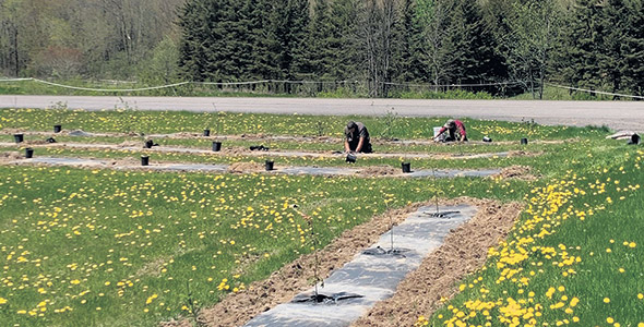 Cette initiative pourrait s'étendre à d'autres sites des propriétaires du Couvoir Scott.