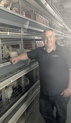 Sylvain Lapierre accompagne les agriculteurs qui se lancent dans la production d’œufs à petite échelle. « Notre rôle, c’est d’aider les nouveaux producteurs à éviter les erreurs. » Photo : Gracieuseté de Sylvain Lapierre