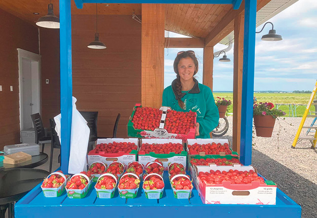 Lawrence Cossette apprécie le calibre de ses fraises et les rendements. Elle note toutefois, comme plusieurs producteurs, une baisse de ses ventes, lesquelles reviennent sensiblement au niveau d’avant pandémie. Photo : Gracieuseté de la Ferme Jocelyn Cossette
