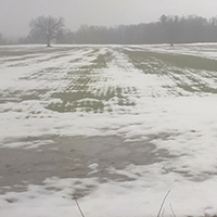 État des parcelles au début de la fonte des neiges. Outaouais, 26 mars 2021. Photo : Gracieuseté de la Ferme Mongeon et Dusseault
